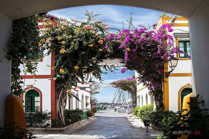 Tour Hop on Hop off La Venecia de Gran Canaria 2