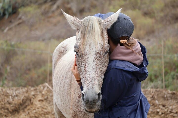 Transforming Experience with Horses Connect and Enjoy 3