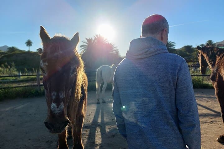 Transforming Experience with Horses Connect and Enjoy 6