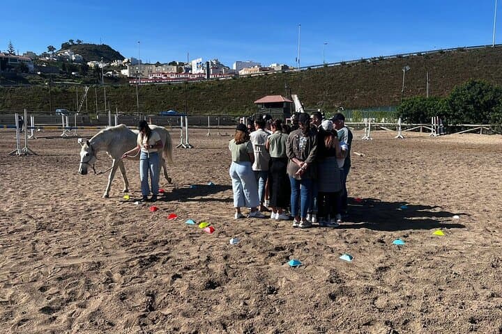 Transforming Experience with Horses Connect and Enjoy 2