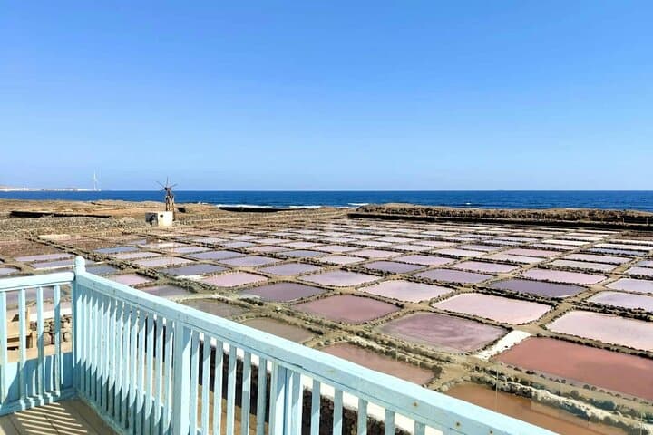 Sabores de Gran Canaria con visita a la destilería y degustaciones 6