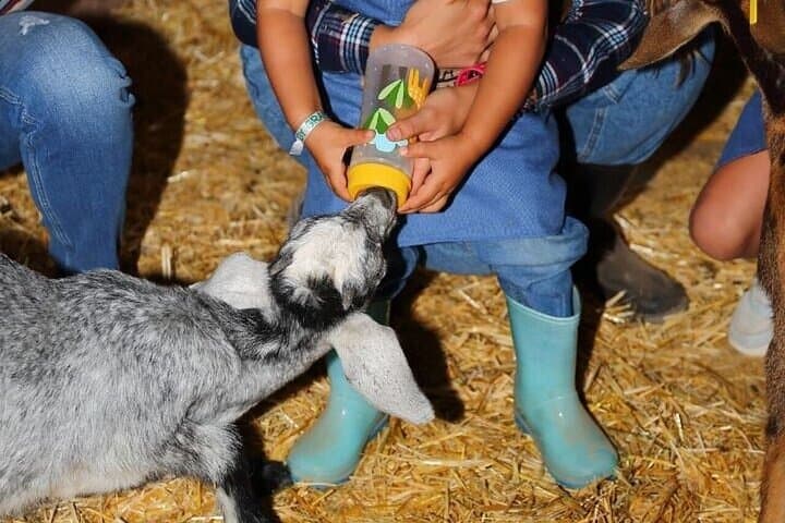 Farmer for a Day with Tasting 4