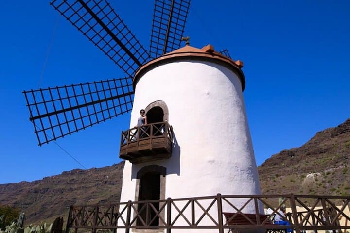 Private Tour of Gran Canaria with Culture, Nature and Local Food 2