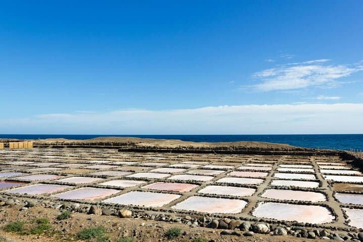 Sabores de Gran Canaria con visita a la destilería y degustaciones